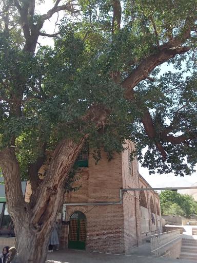 عکس امامزاده کوه (محسن)