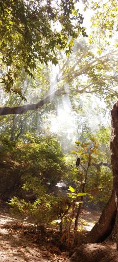 عکس تفرجگاه سراب گیان