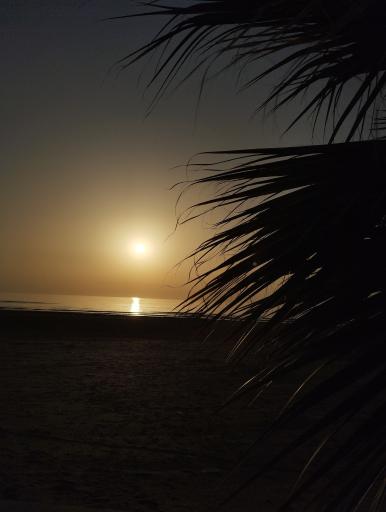 عکس ساحل گناوه