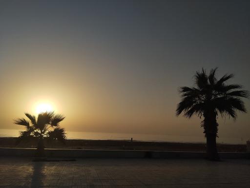 عکس ساحل گناوه