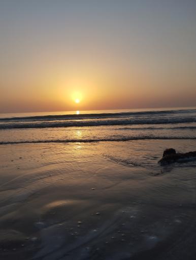 عکس ساحل گناوه