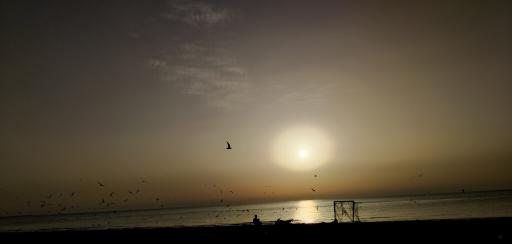 عکس ساحل گناوه