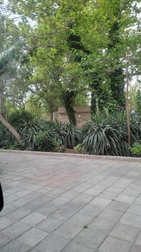 عکس سرویس بهداشتی