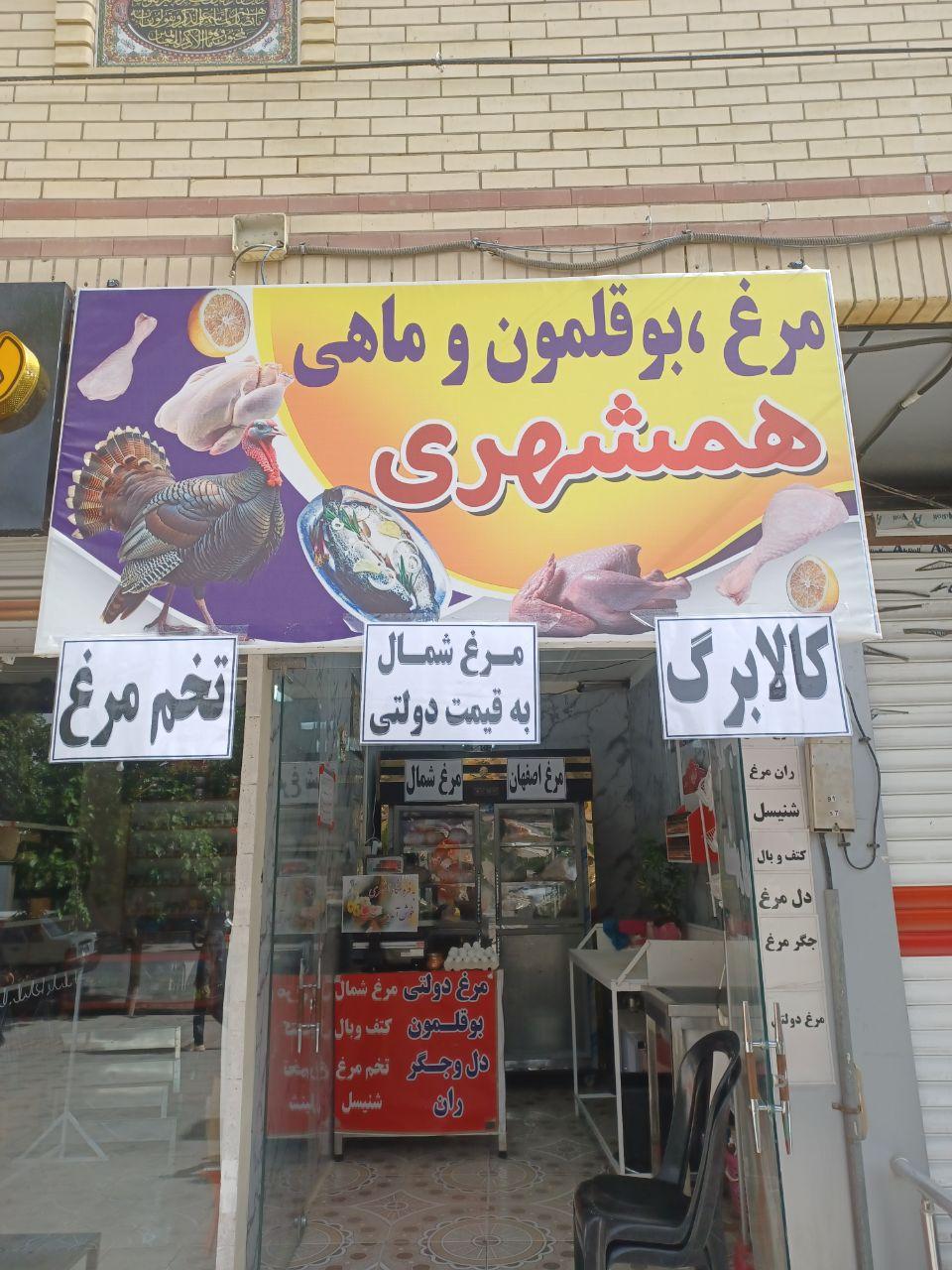 عکس مرغ ماهی بوقلمون همشهری