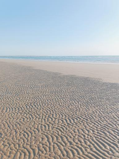 عکس ساحل گناوه