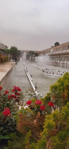 عکس بازار آرین