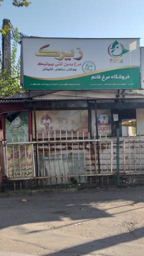فروشگاه مرغ قائم