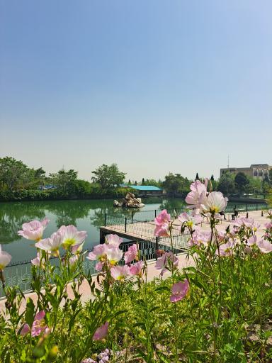 عکس دریاچه مصنوعی دانشگاه اصفهان