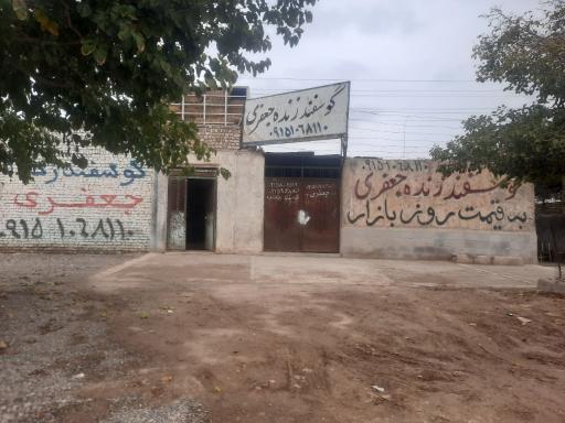 عکس دامداری برادران جعفری