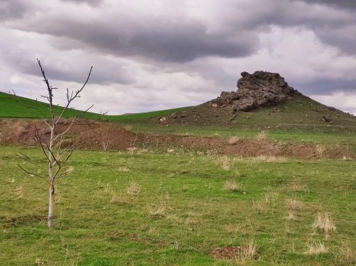 عکس شاهین دژ