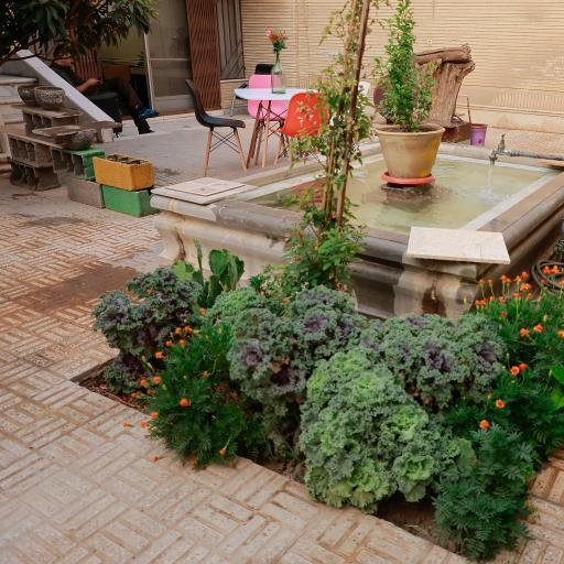 عکس اقامتگاه گردشگری محفل