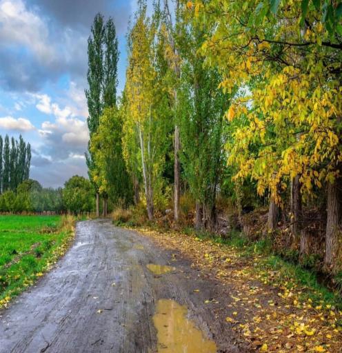 عکس شاهین دژ