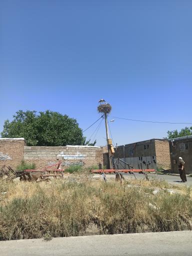 عکس شاهین دژ