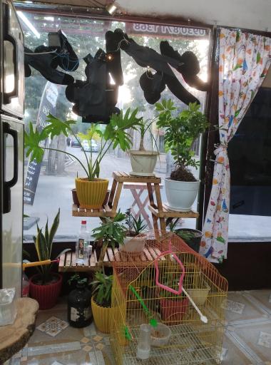 عکس کافه فریدون