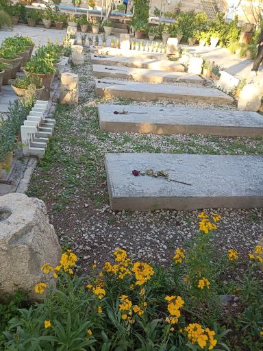 عکس باغ موزه هفت تنان