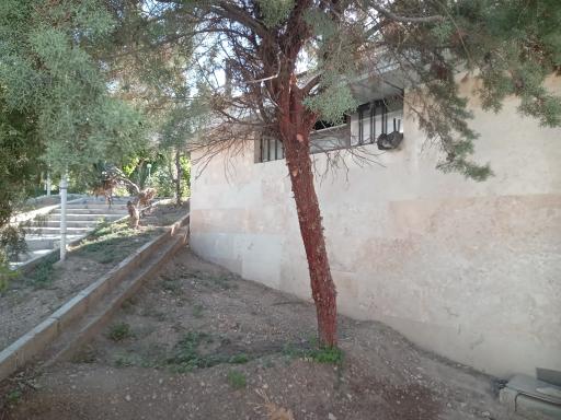 عکس سرویس بهداشتی 