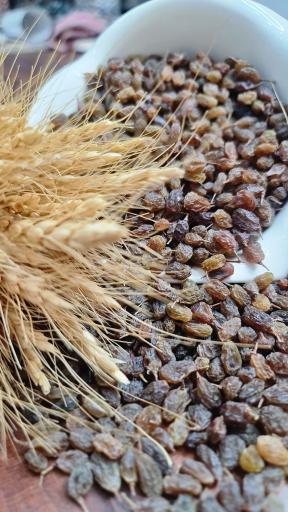 عکس انبار جمشید احمدی