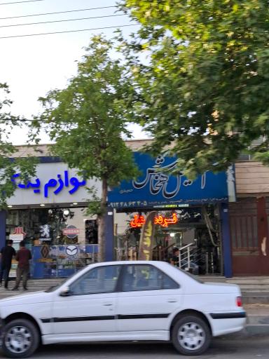 استیل هخامنش