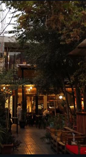 عکس دکان فلانور