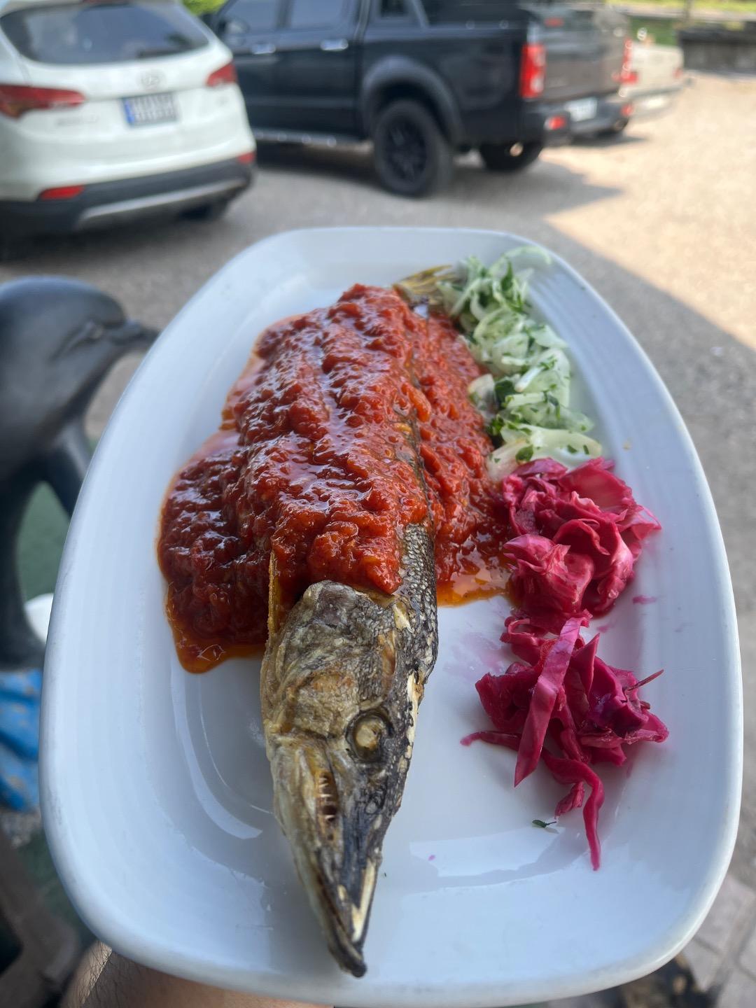 عکس رستوران اشکان