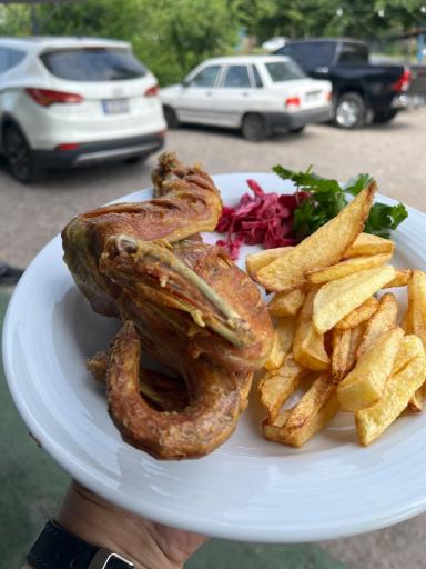 عکس رستوران اشکان