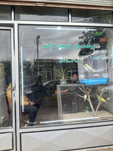 پرنده سرا و جوجه مارکت
