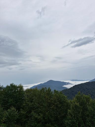 عکس بام دیلمان