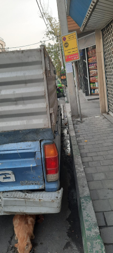 عکس مسجد الحسین