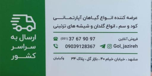 عکس جزیره گل