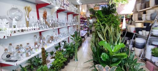 عکس جزیره گل