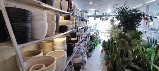 عکس جزیره گل