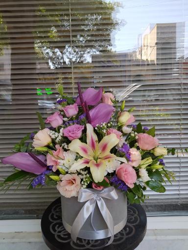 عکس جزیره گل