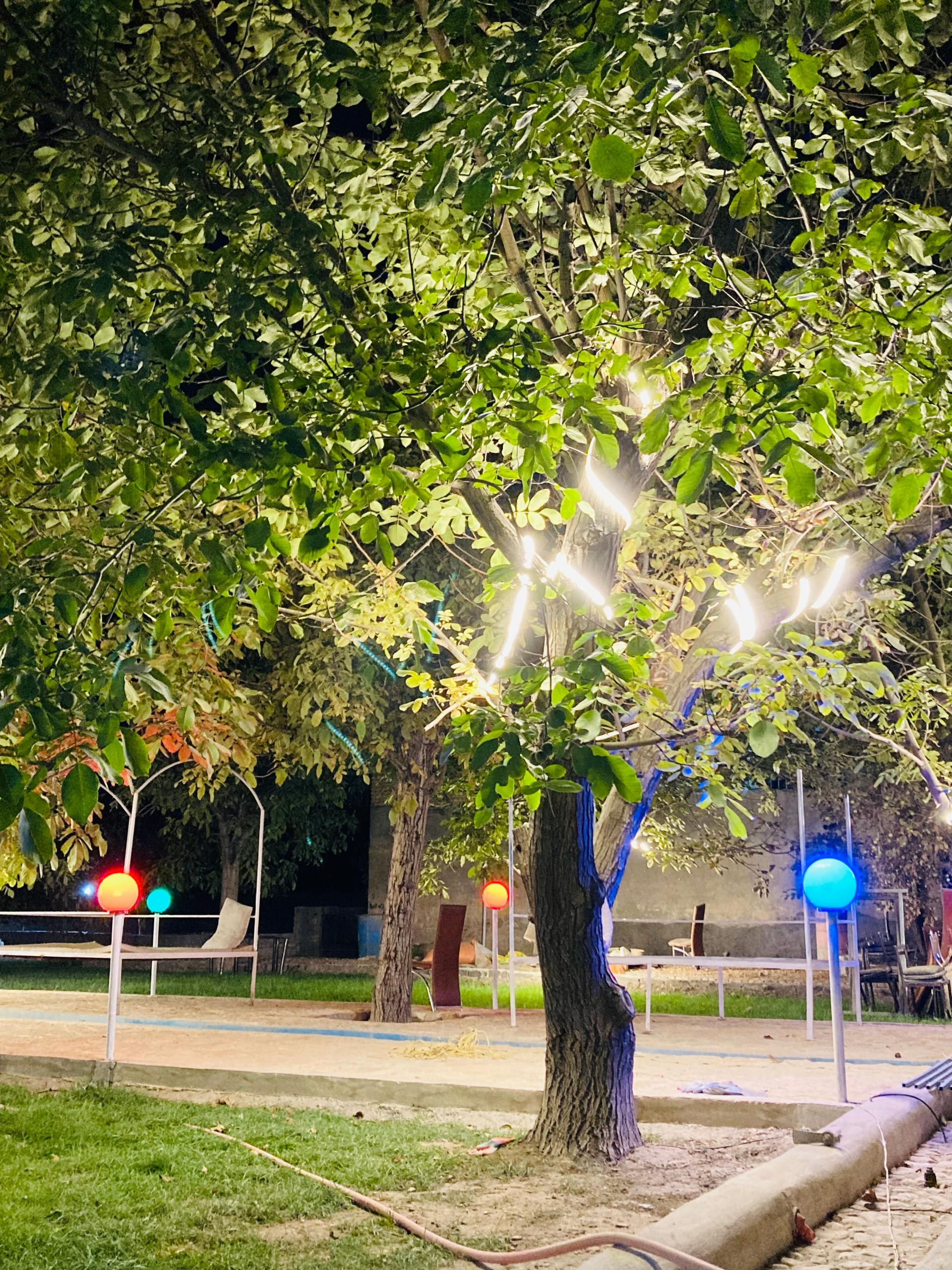 عکس باغ رستوران عمارت 