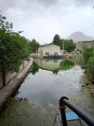 عکس سراب نیلوفر چنگایی