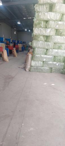 عکس پارس پت