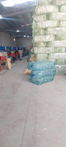 عکس پارس پت