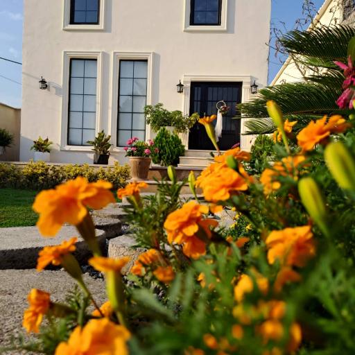 عکس باغ عقد نگارین