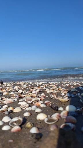 عکس ساحل دریا بابلسر