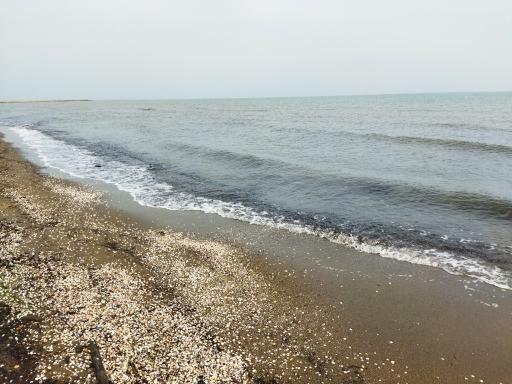 عکس ساحل دریا بابلسر