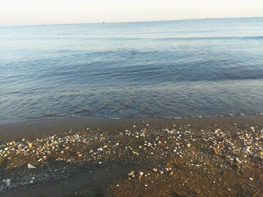 عکس ساحل دریا بابلسر