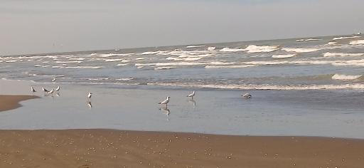 عکس ساحل دریا بابلسر