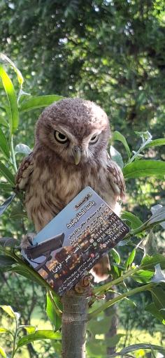 عکس موسسه یاسا الکترونیک 