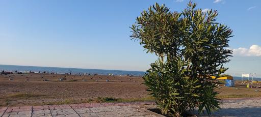 عکس ساحل دریا بابلسر