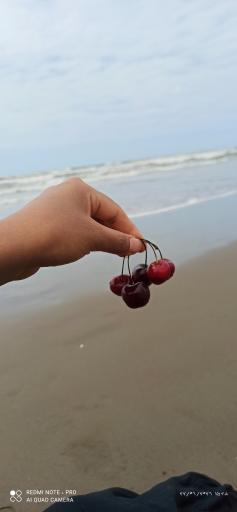 عکس ساحل دریا بابلسر