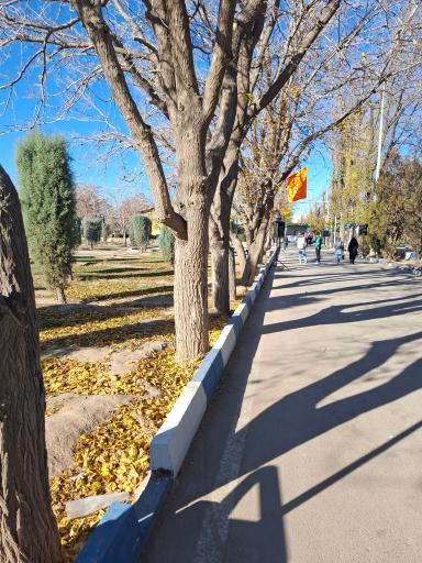 عکس آرامستان