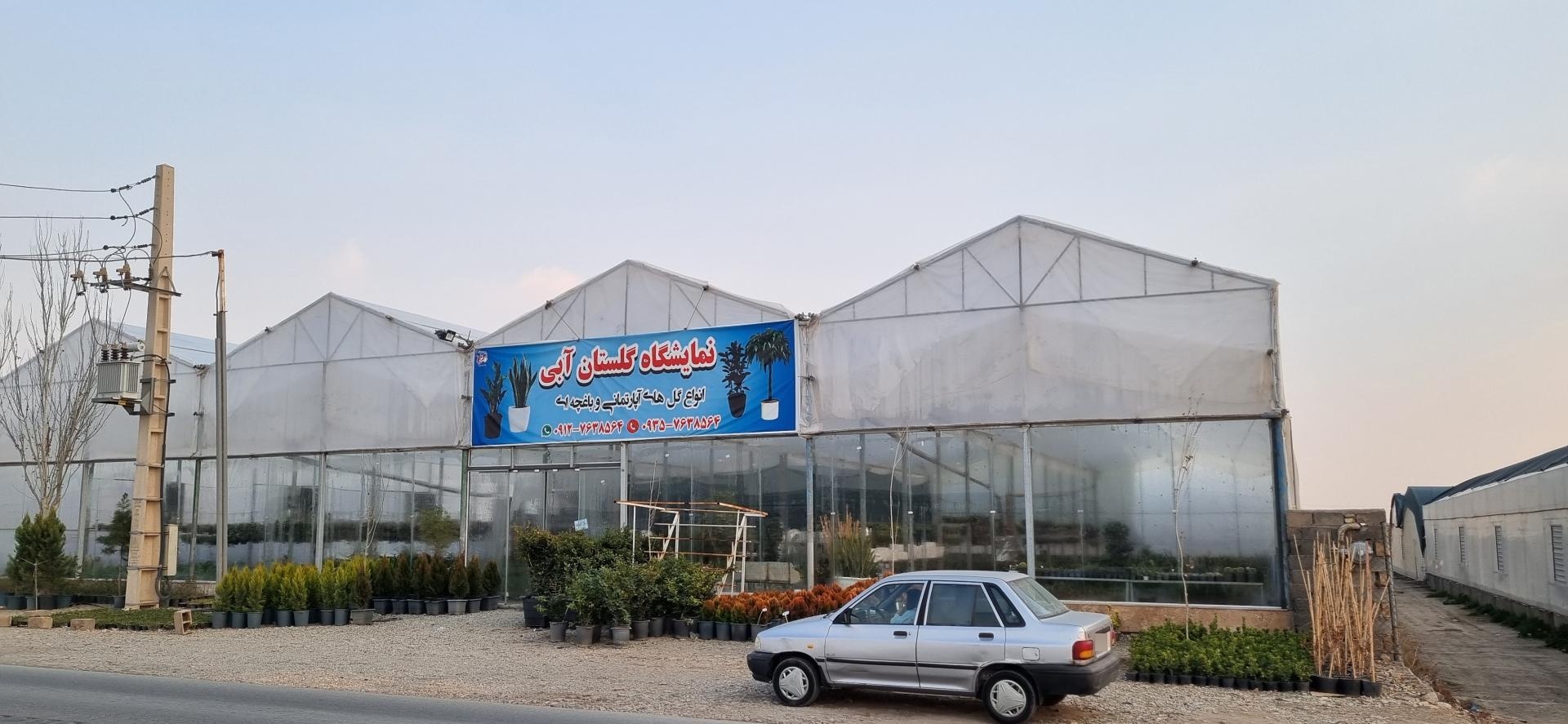 عکس گل وگیاه گلستان آبی