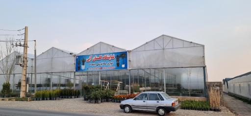 عکس گل وگیاه گلستان آبی