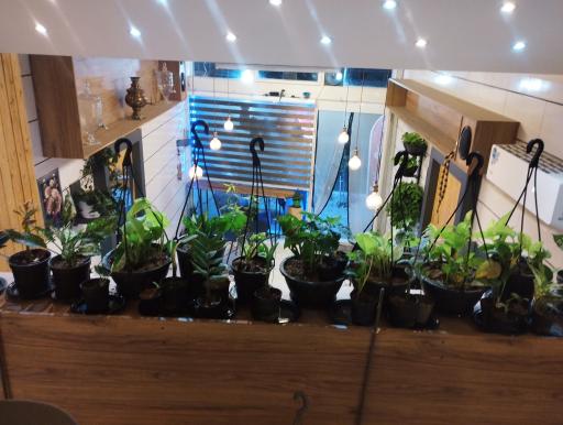 عکس کافی شاپ آرامش