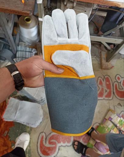 عکس پخش دستکش