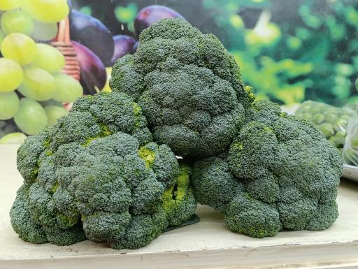عکس میوه سرای ابوالفضل